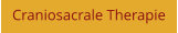 Craniosacrale Therapie